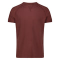 T-shirt Raglan Salem in Jersey (Bordeaux)