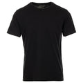 T-shirt Eagle Lake in Jersey Fiammato (Black)