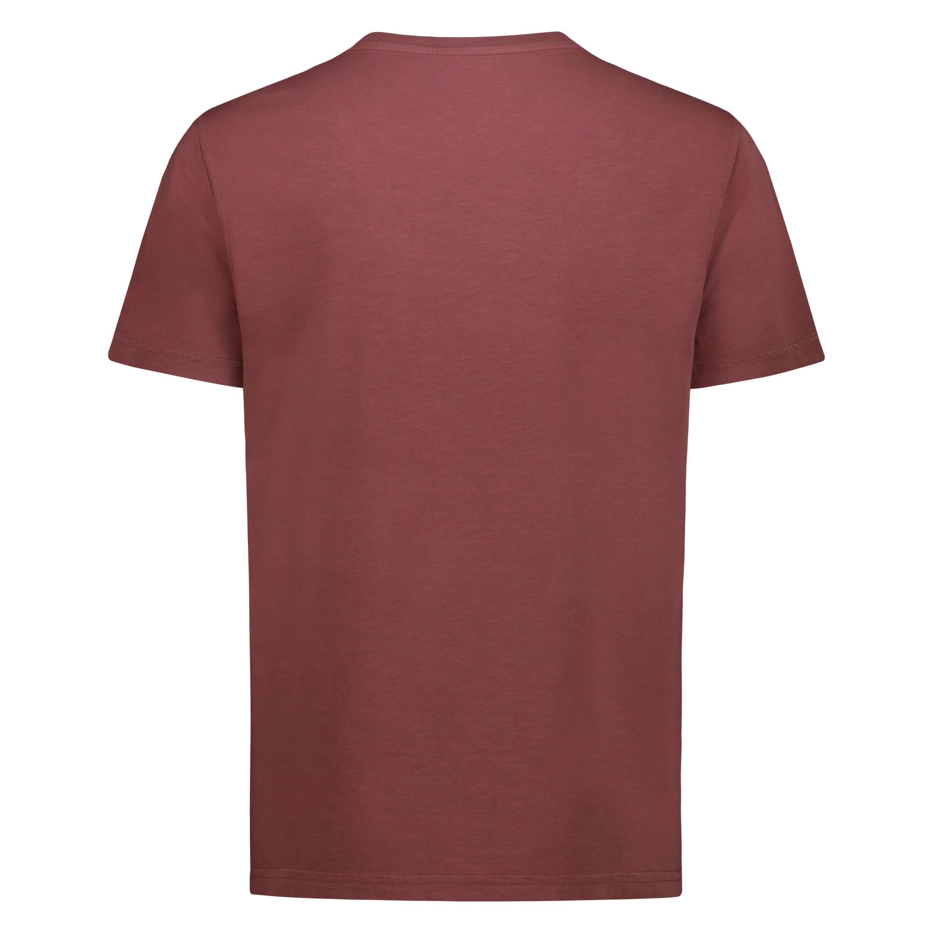 T-shirt Eagle Lake in Jersey Fiammato (Bordeaux)