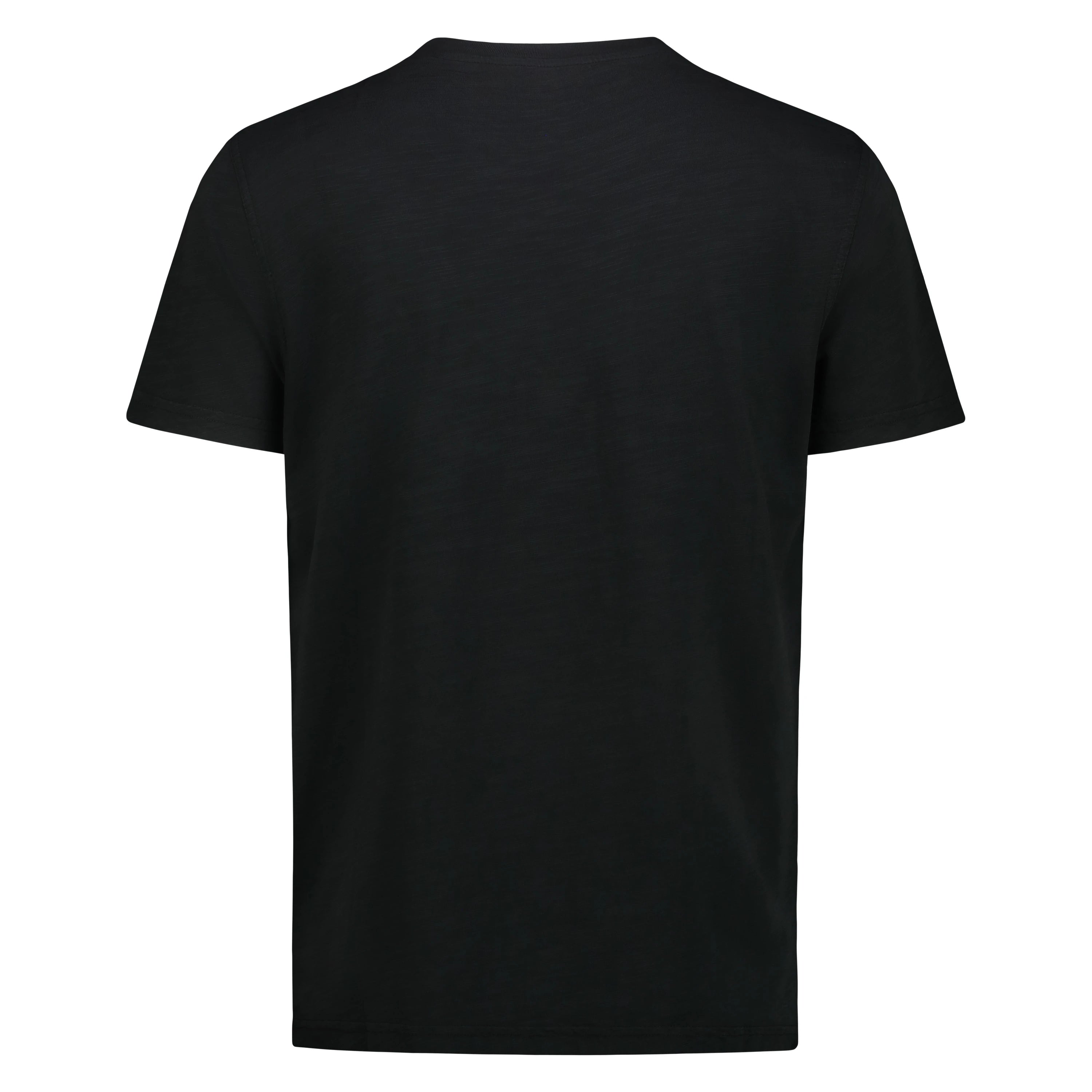 T-shirt Eagle Lake in Jersey Fiammato (Faded Black)