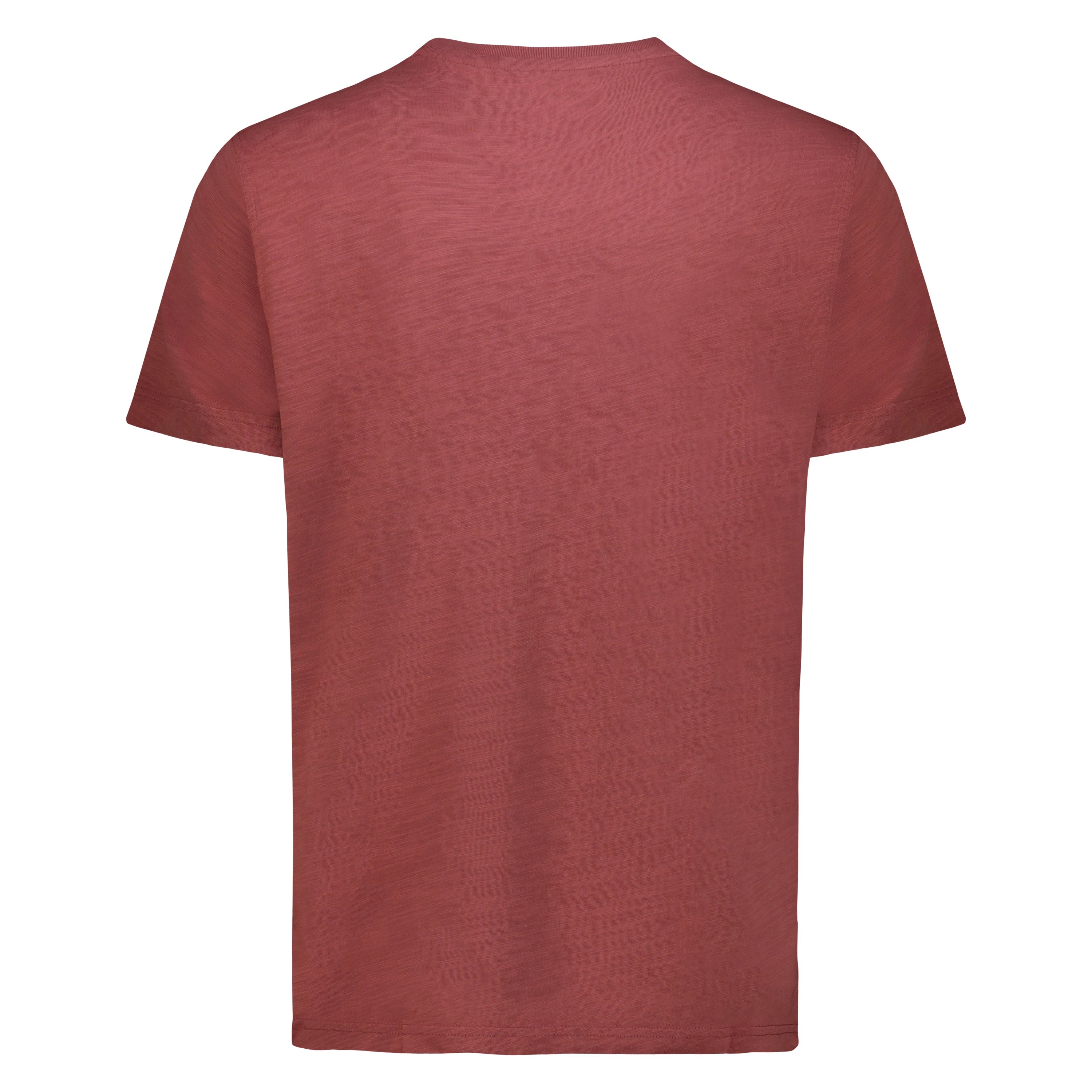 T-shirt Eagle Lake in Jersey Fiammato (Faded Red)