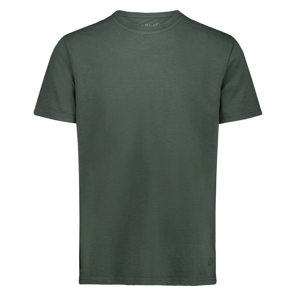 T-shirt Eagle Lake in Jersey Fiammato (Green)