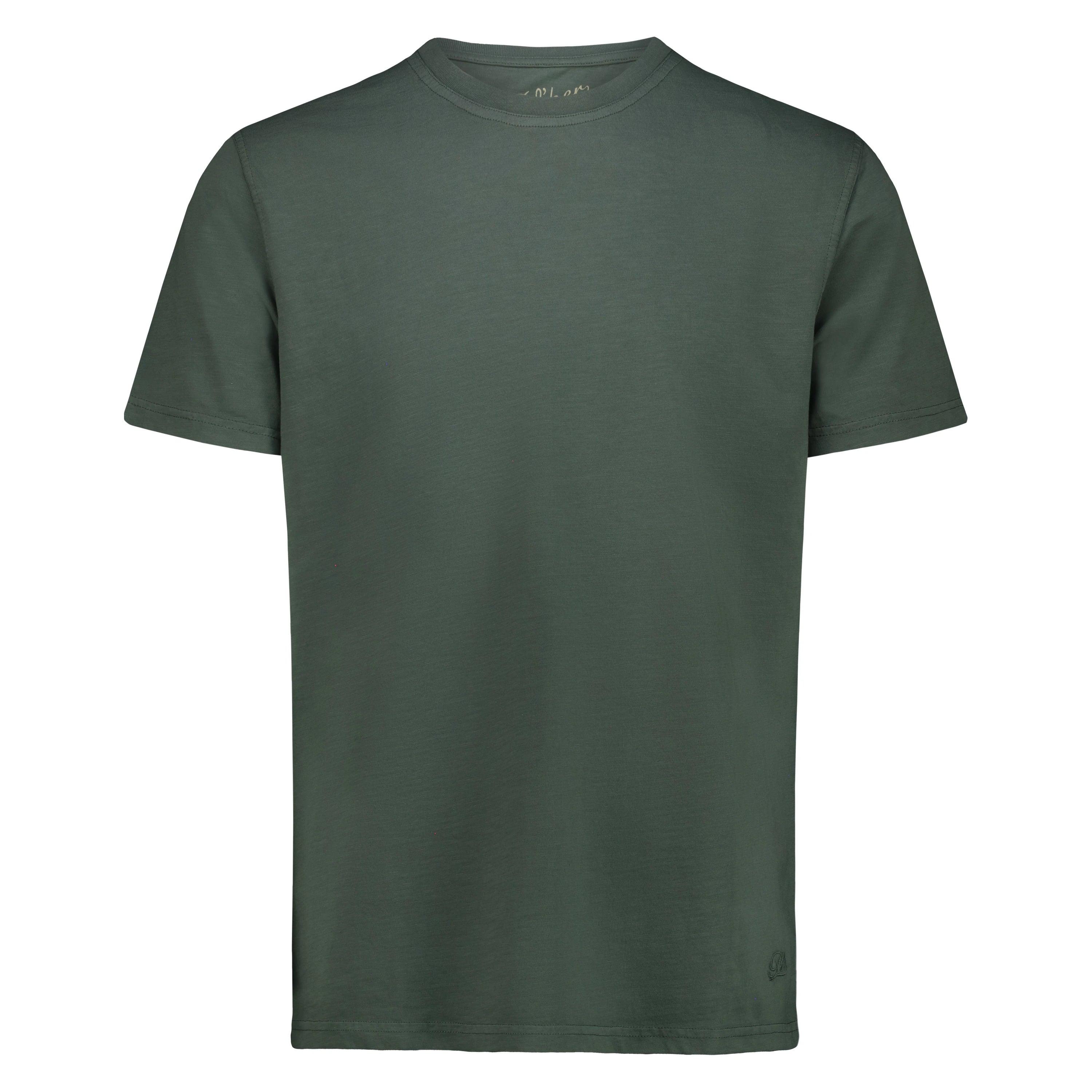 T-shirt Eagle Lake in Jersey Fiammato (Green)