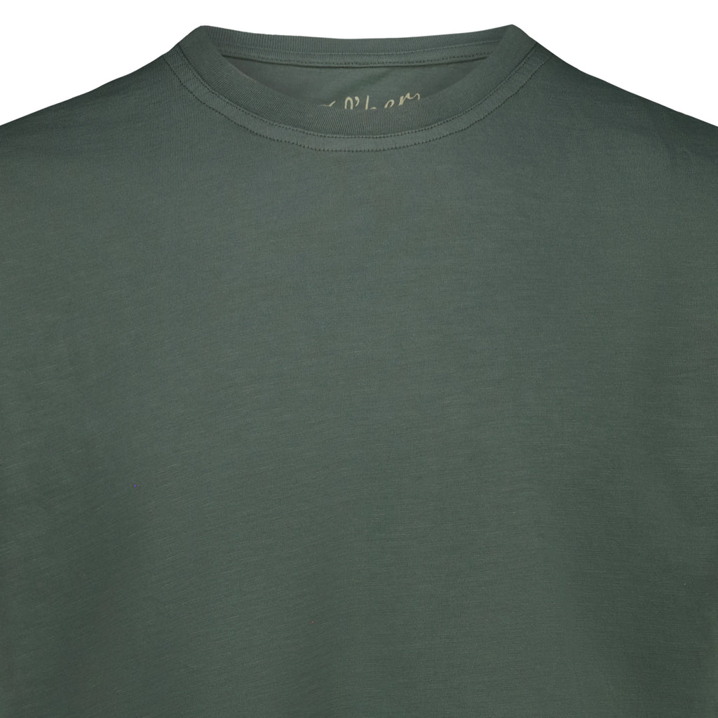 T-shirt Eagle Lake in Jersey Fiammato (Green)