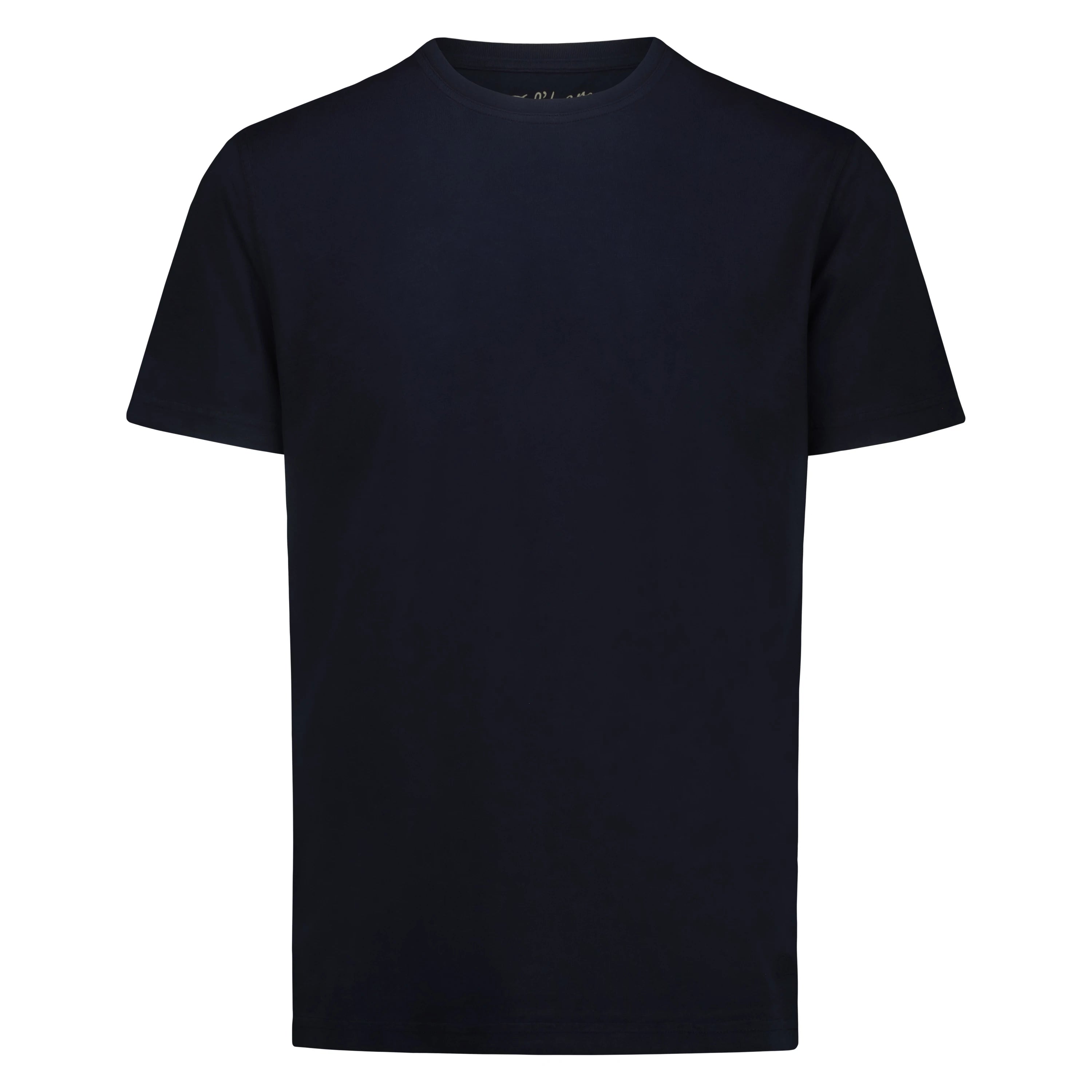 T-shirt Eagle Lake in Jersey Fiammato (Navy)