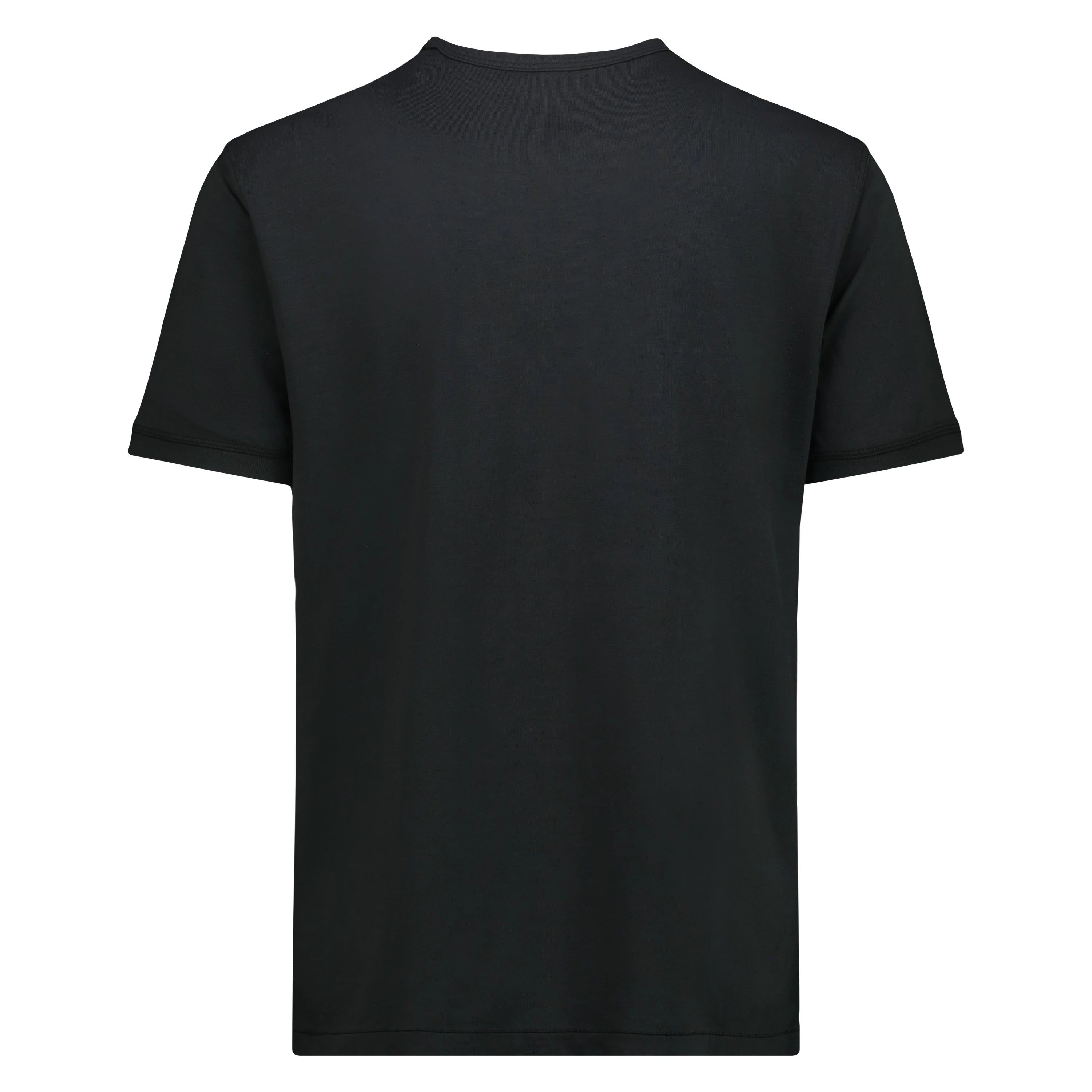 T-shirt Chester Lake Champlain in Jersey Fiammato (Faded Black)