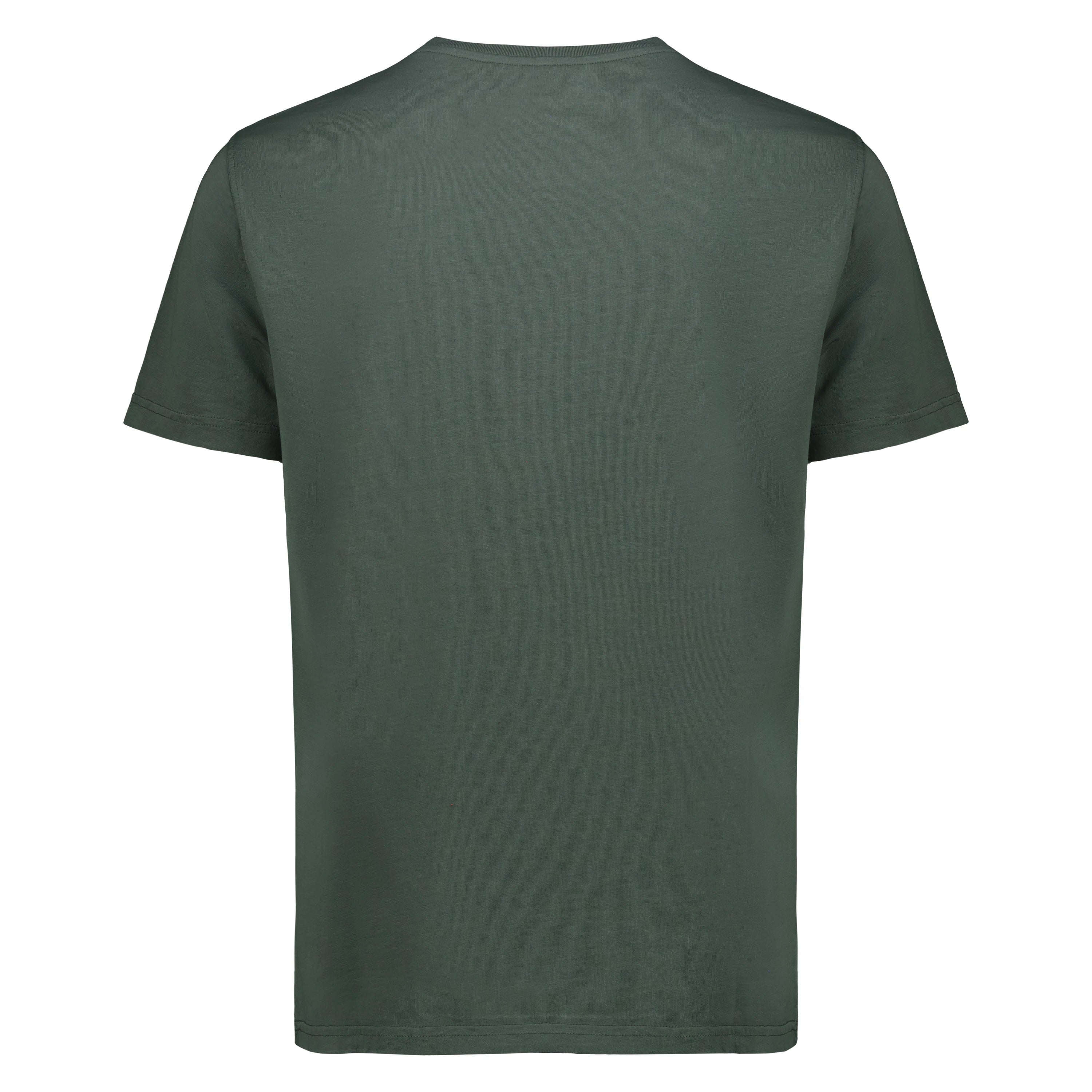 T-Shirt Casco Bay in Jersey Fiammato (Green)