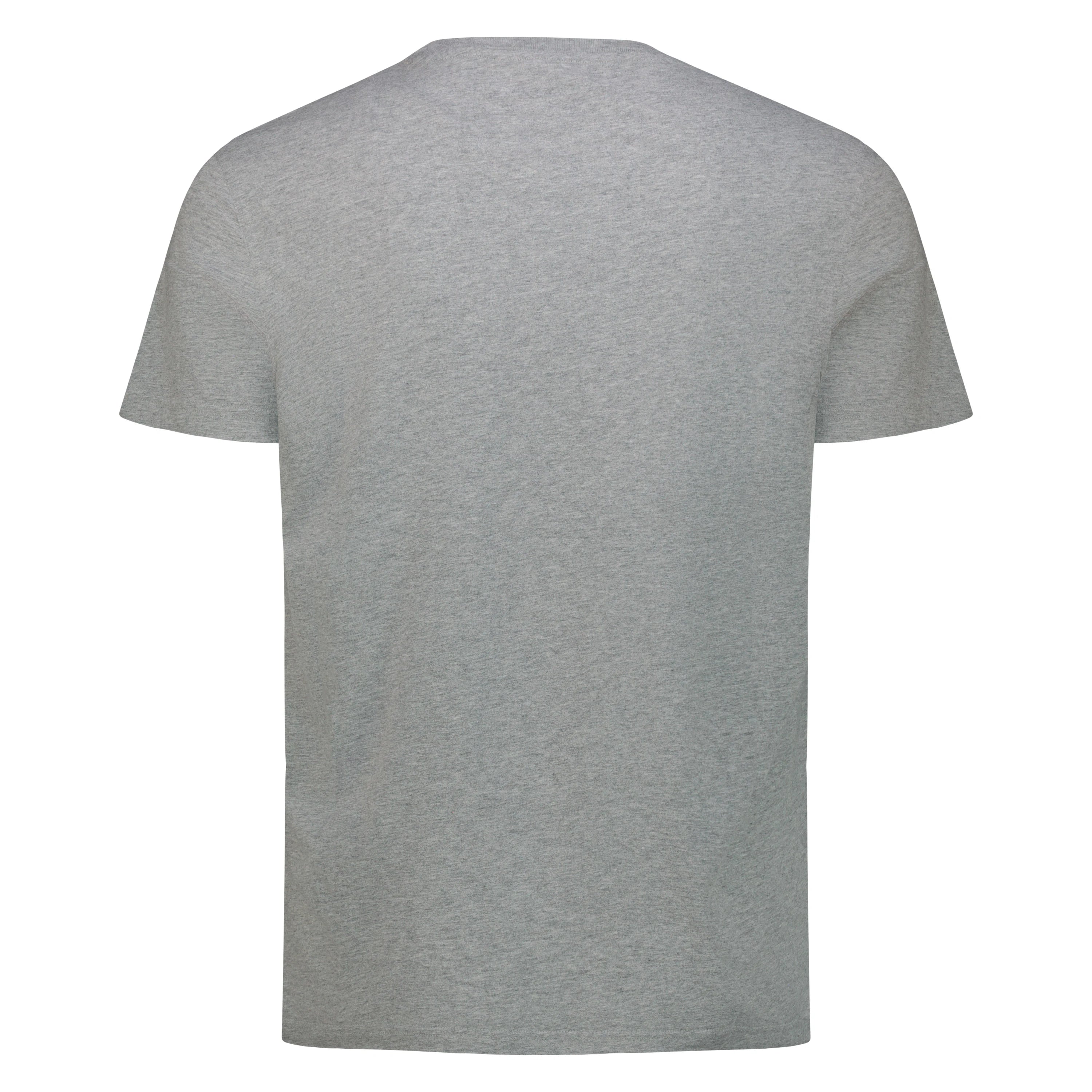 T-Shirt Freeport in Jersey (Grey Melange)